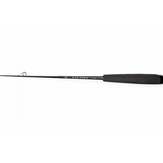 ΚΑΛΑΜΙ DAIWA 26 SALTIST X SPINNING
