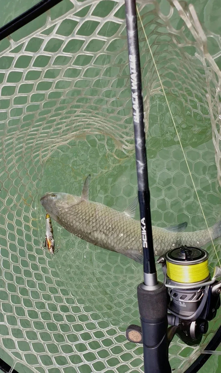 TUBERTINI SEIKA BLACK WATER H 20-60G L2.70M - Darivianakis fishing Store
