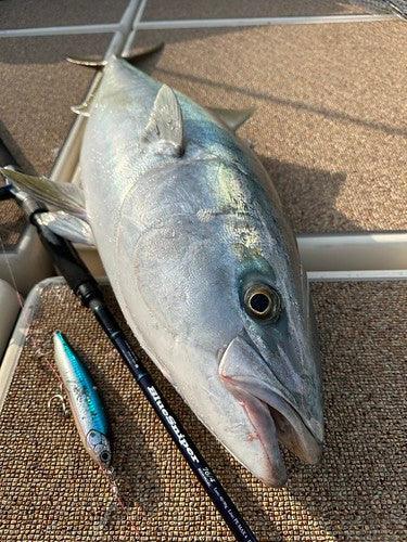 YAMAGA BLANKS BLUE SNIPER SHORE JIGGING 97MMH PE4 100G L2.95M - Darivianakis fishing Store