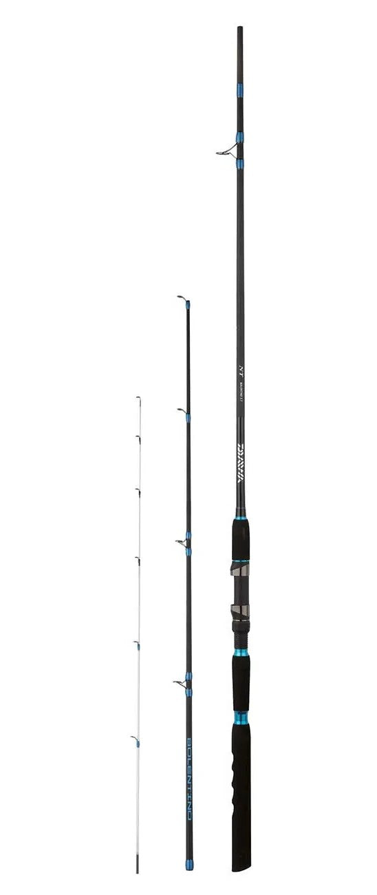 ΚΑΛΑΜΙ DAIWA NT BOLENTINO 30-150G L2.70M