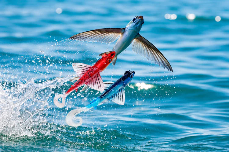 ΣΙΛΙΚΟΝΟΥΧΑ JLC® FLY