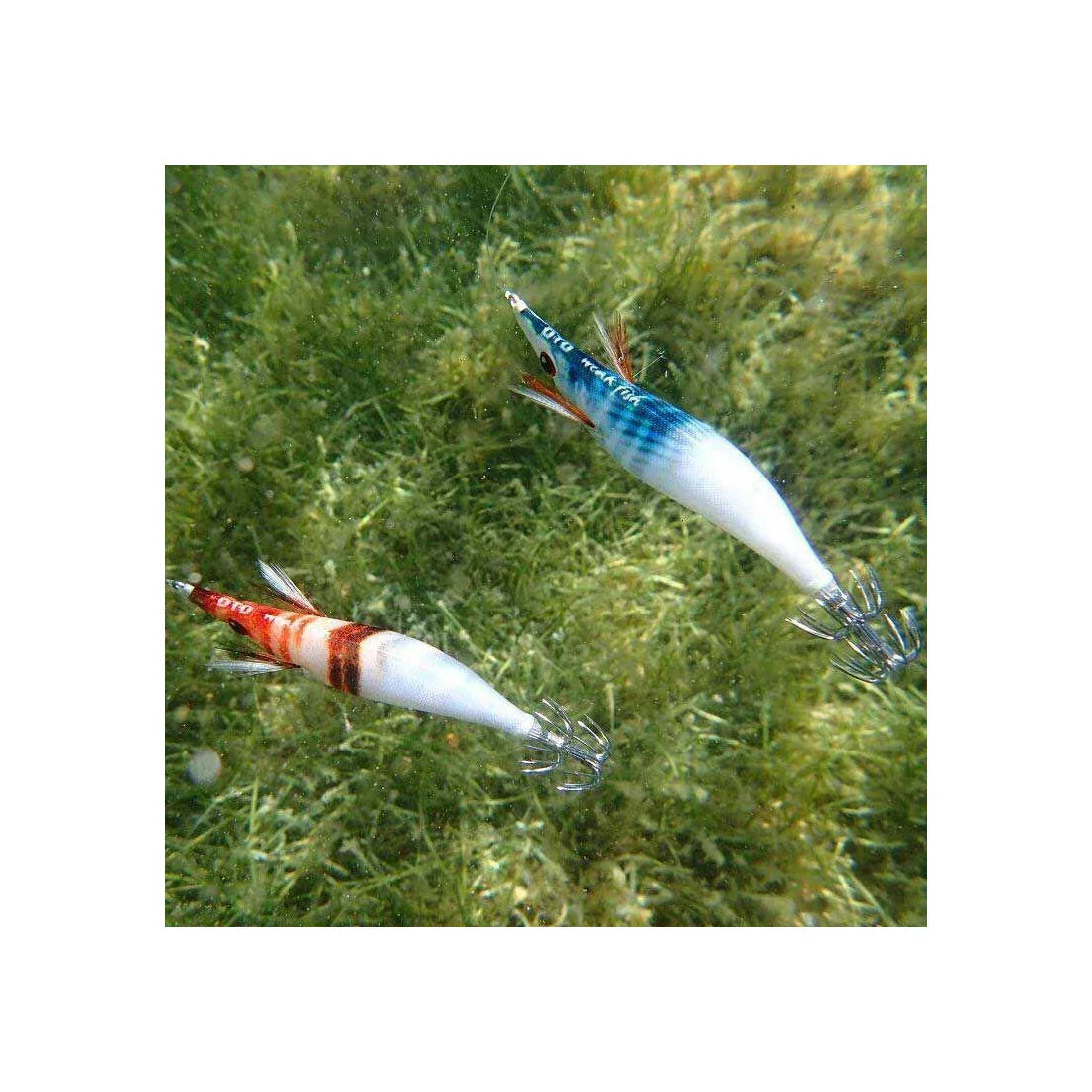 ΚΑΛΑΜΑΡΙΕΡΕΣ DTD WEAK FISH OITA - Darivianakis fishing Store