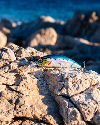 ΤΕΧΝΗΤΑ  WESTIN RUSHBAIT
