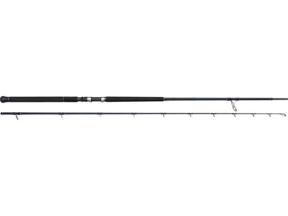 ΚΑΛΑΜΙ WESTIN W2 ROCKSHORE APEX PREDATOR M 30-100G L2.95M