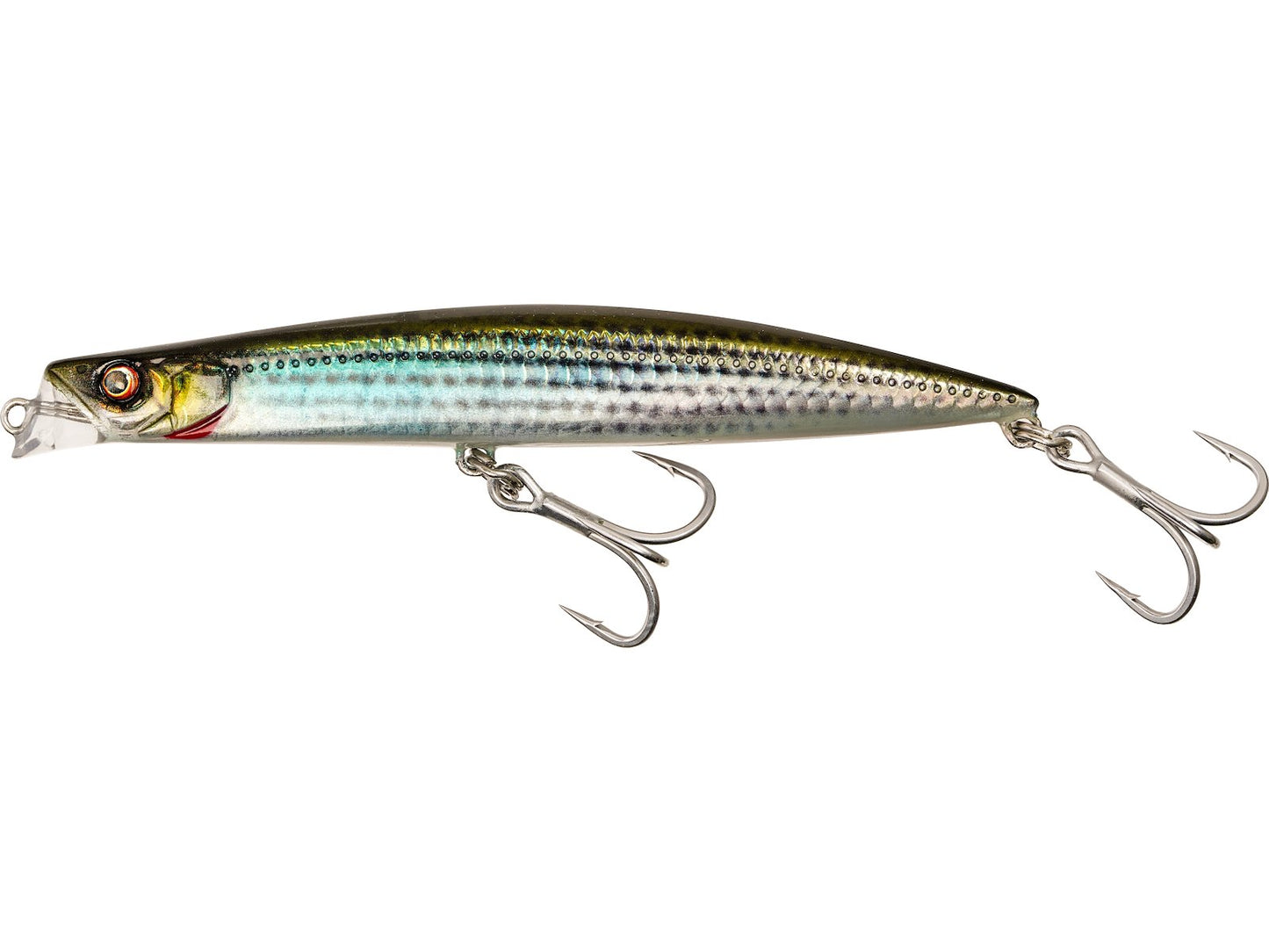 ΤΕΧΝΗΤΑ WESTIN DIGGIN' SARDINE