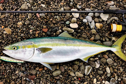 ZENAQ PLAISIR ANSWER PA90 JAW BREAKER 10-50G L2.74M - Darivianakis fishing Store