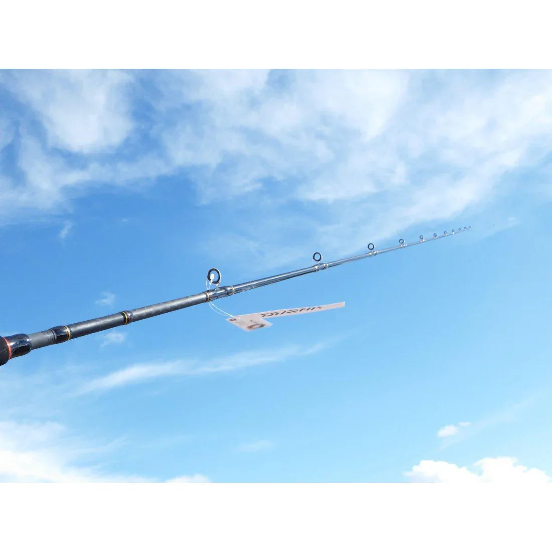 DAIWA LEGALIS BOAT GAME 80-180G L1.98M - Darivianakis fishing Store