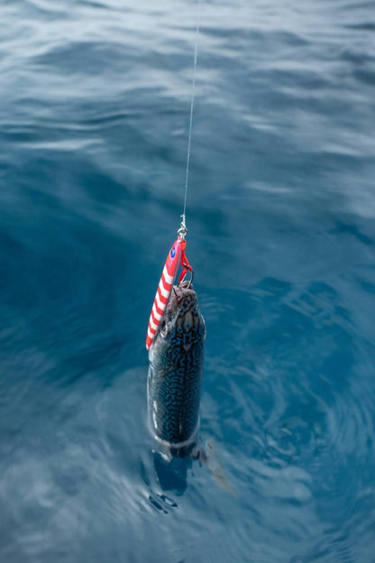 ΠΛΑΝΟΣ MUSTAD MEZASHI BSJ JIG