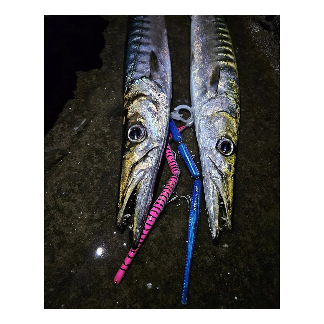 ΣΠΑΣΤΗ ΖΑΡΓΑΝΑ SEASPIN STREGA 257 - Darivianakis fishing Store