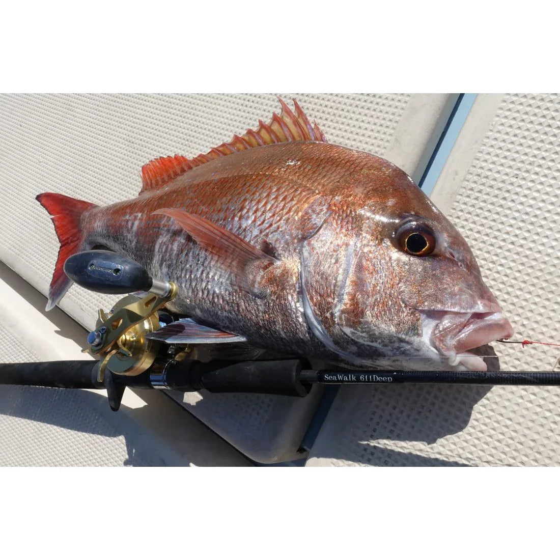 YAMAGA SEAWALK 611D PE0.8-1.2 100-200G L2.12M - Darivianakis fishing Store