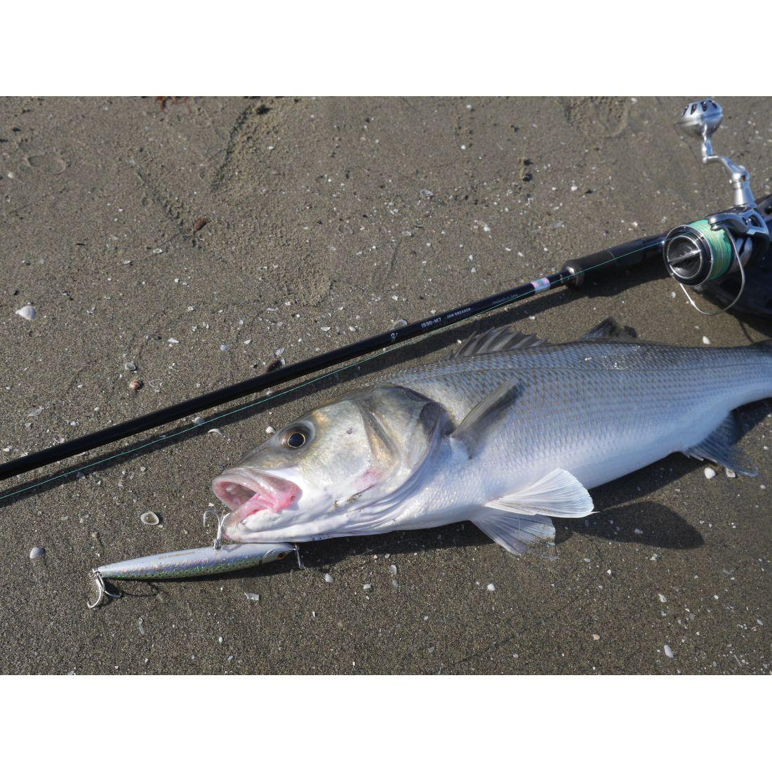 ZENAQ PLAISIR ANSWER PA90 JAW BREAKER 10-50G L2.74M - Darivianakis fishing Store